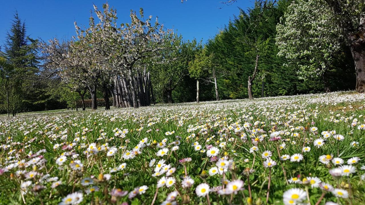Вилла Domaine De La Brette Кондом Экстерьер фото
